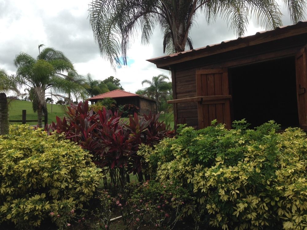 Hacienda El Jibarito San Sebastian Exterior foto